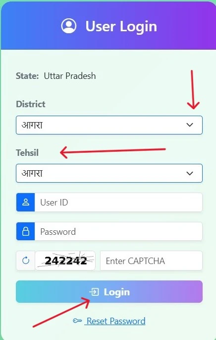 enter all detail then click on login